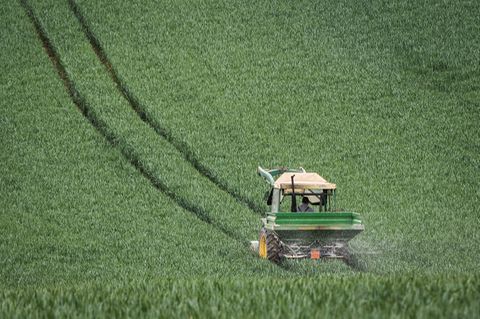 Traktor pflügt durch grünes Feld.
