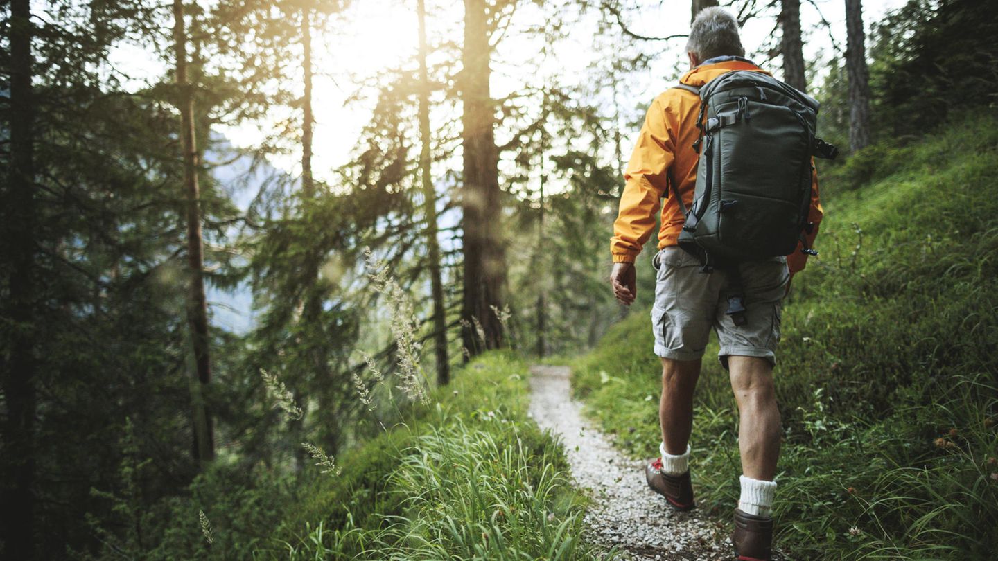 Die Diagnose: Beim Wandern wird er ohnmächtig – er hätte besser in den Pausen kein Brot gegessen Die Diagnose: Beim Wandern wird er ohnmächtig – er hätte besser in den Pausen kein Brot gegessen