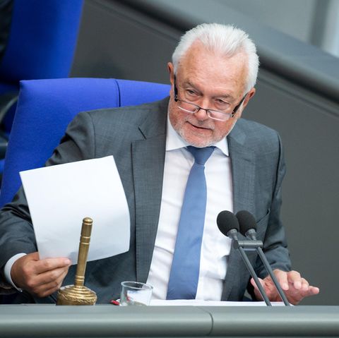 Wolfgang Kubicki im Bundestag
