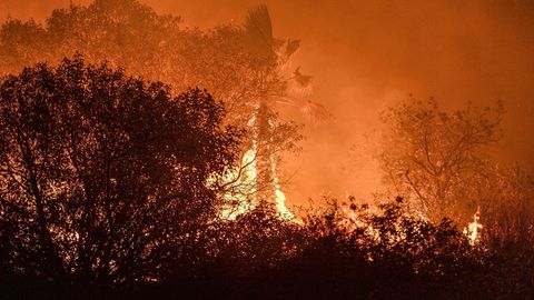 Waldbrände in der Nähe der Stadt Lake Forest im US-Bundesstaat Kalifornien