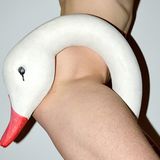 Bildband New Queer Photography