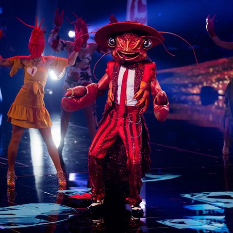 Der Hummer auf der Bühne der Prosieben-Show "The Masked Singer"