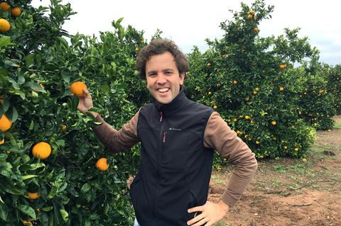 Crowdfarming: Jung-Landwirt Gonzalo Úrculo auf seiner Plantage in der Nähe von Valencia