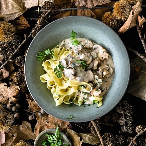 Geschmacksbinder: Tagliatelle passen gut zu Champignons und Pilz-Sahne-Sauce