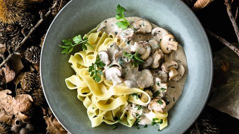 Geschmacksbinder: Tagliatelle passen gut zu Champignons und Pilz-Sahne-Sauce