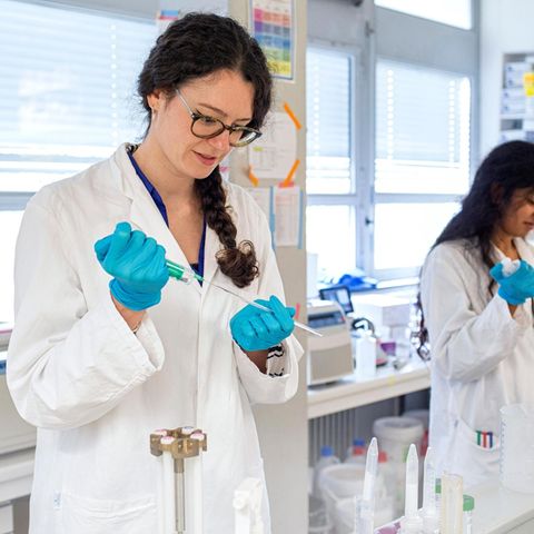Laborarbeit Covid-19 an der Frankfurter Universität am Riedberg mit Chemie-Doktorandin Katharina Hohmann