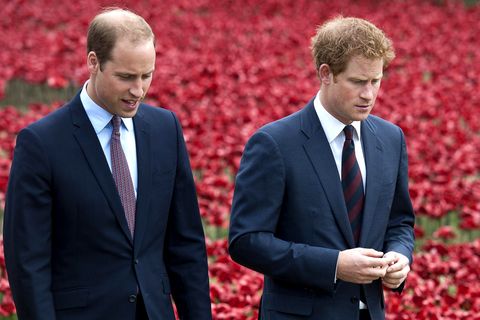 William und Harry