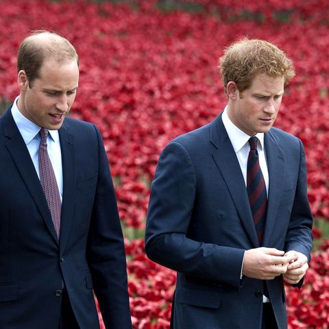 William und Harry