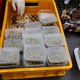 Erdnüsse und Oliven