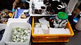 Kuchen für Obdachlose