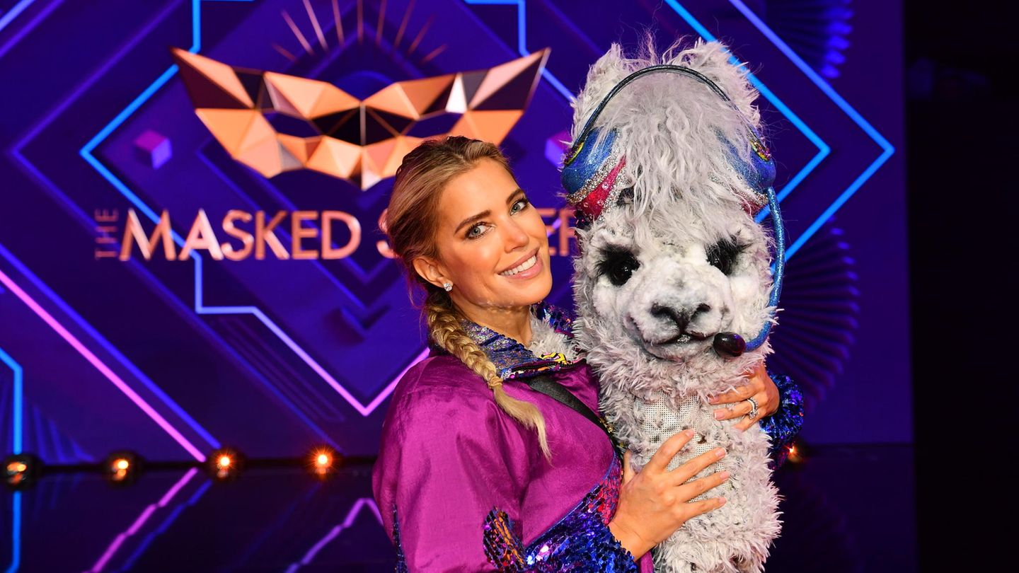 Sylvie Meis