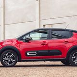 Trotz einer Länge von "nur" vier Metern