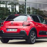 Die zweifarbigen Varianten sind sehr beliebt