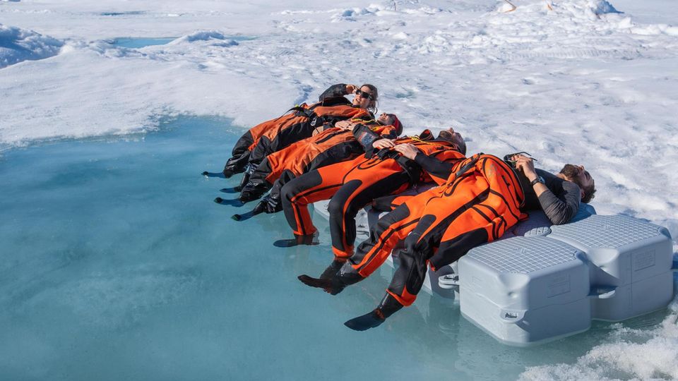 Entanglement Overcome Appeal to be attractive Fern von Corona allein im Eis – das erlebten die Wissenschaftler auf ihrer  Forschungsreise in die Arktis | STERN.de