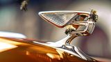 Bentley 2030