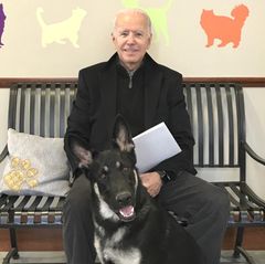 Auf einer Bank unter dem Logo eines Tierschutzvereins sitzt Joe Biden und hat einen Schäferhund vor sich sitzen