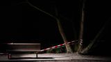 Fotografie: Flatterband zwischen Parkbank und Baum