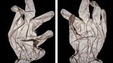 Fotografie: Ein Schutzhandschuh in Nahaufnahme