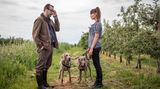 Anne von Kamcke (Svenja Liesau) zieht zusammen mit ihrer Tochter zu Vera ins Alten Land und führt damit die Geschichte in die Gegenwart. 
