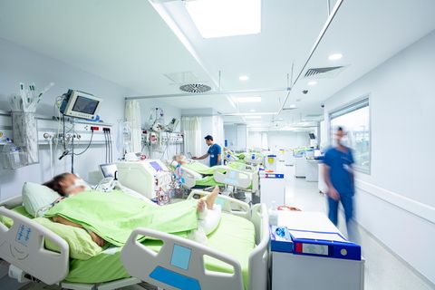 Covid-19: Forscherteam findet "vielversprechende" pflanzliche Therapie