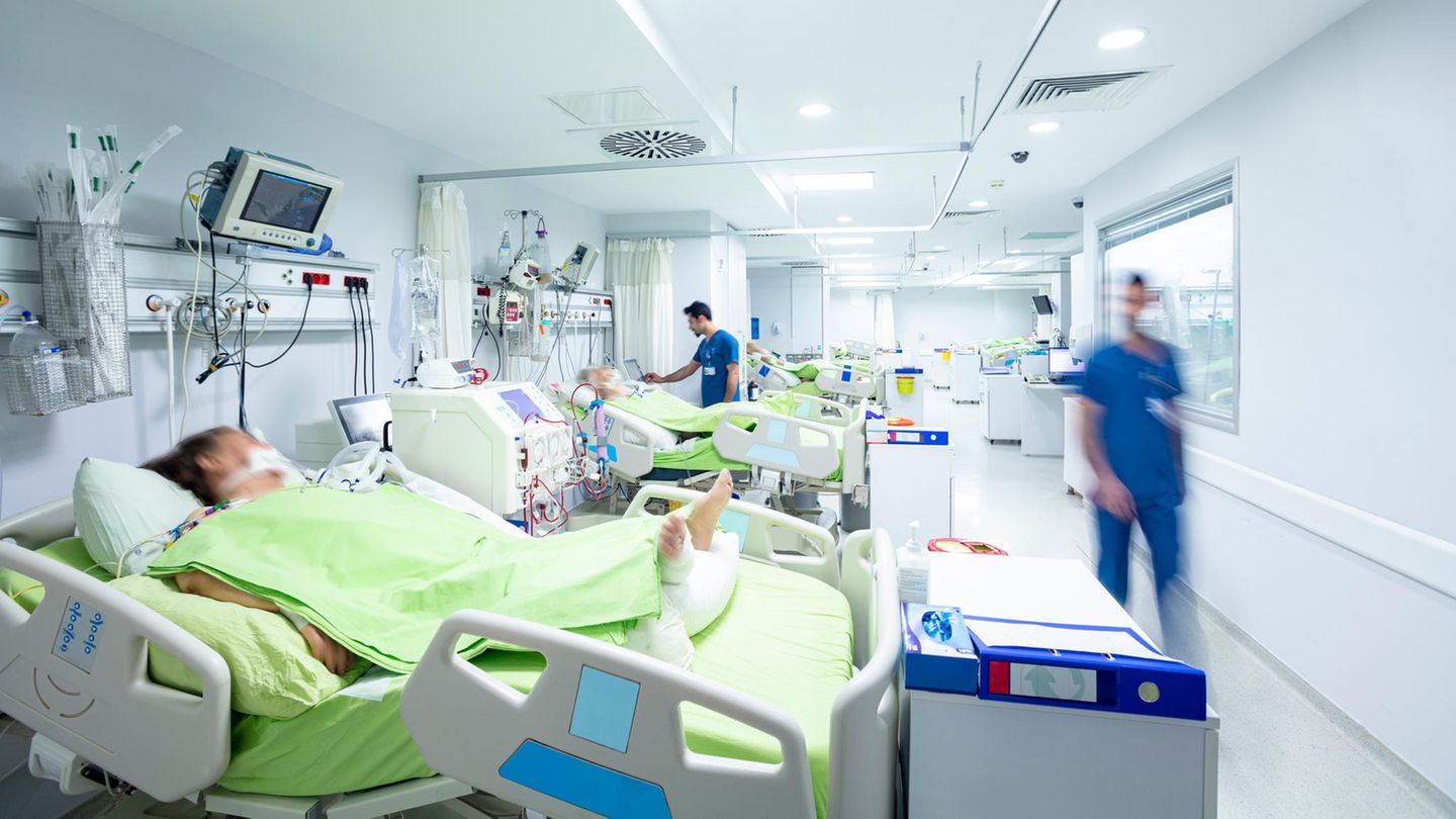 Covid-19: Forscherteam findet "vielversprechende" pflanzliche Therapie