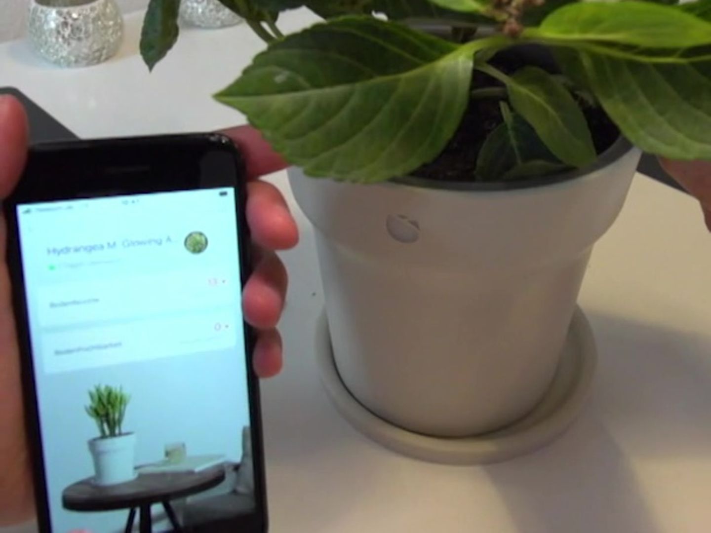 smarter pflanztopf Minimalistischer selbstbewässernder Pflanztopf mit eingebautem Wassert –  weshape main image 0