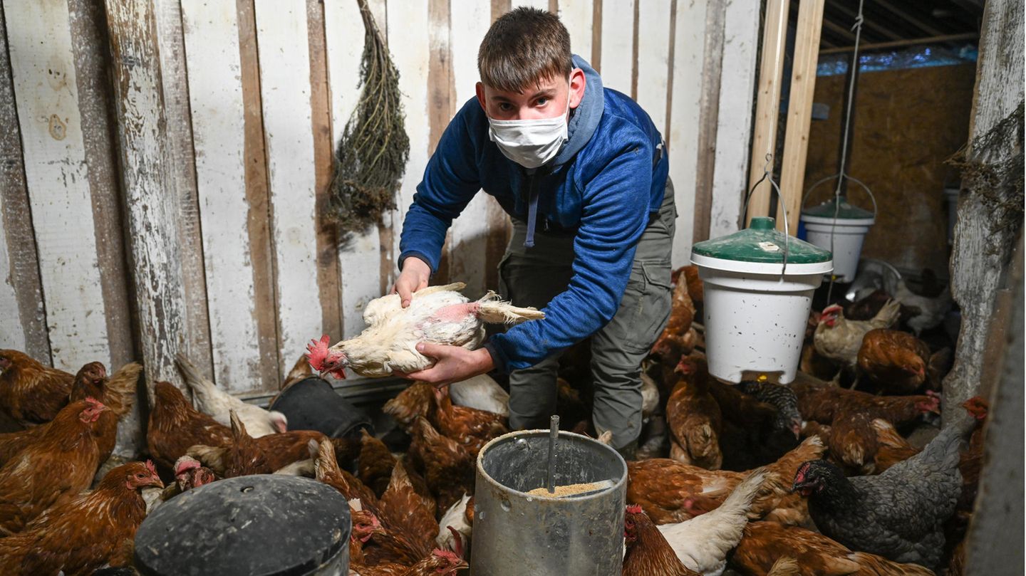 Der 17-Jährige Nic Dilger aus Tettnang