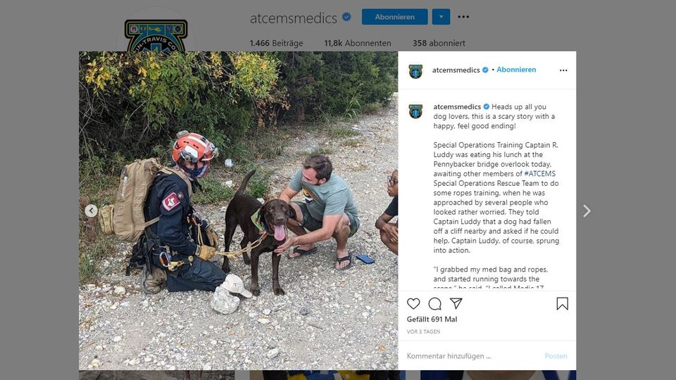 Labrador Stout in Instagram-Post des Austin-Travis County EMS (Taxas)
