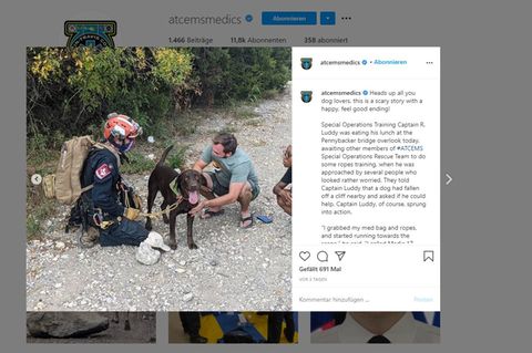 Labrador Stout in Instagram-Post des Austin-Travis County EMS (Taxas)