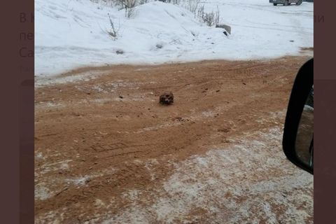 Russland: Mitten auf der Straße in der Stadt Kirensk liegt ein menschlicher Schädel 