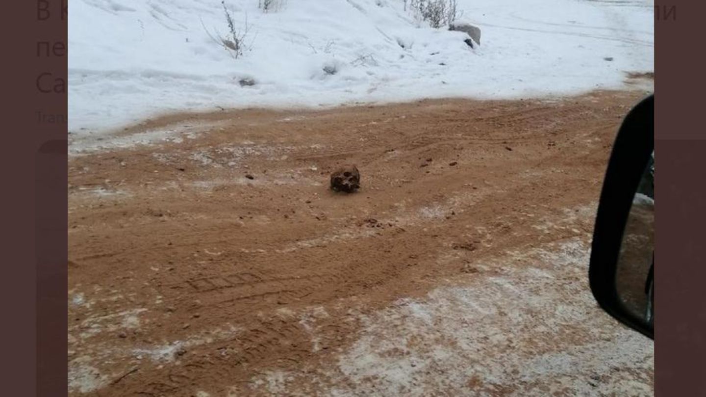 Russland: Mitten auf der Straße in der Stadt Kirensk liegt ein menschlicher Schädel 
