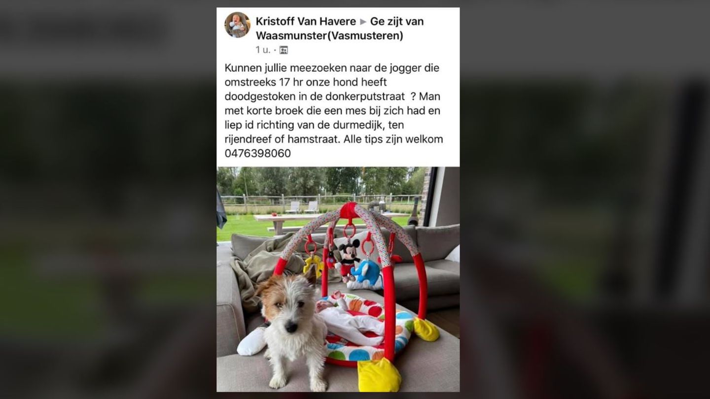 Facebook-Post des Besitzers des erstochenen Hundes in Belgien