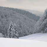 Panoramablick über den Thüringer Wald: Masserberg, Thüringer Wald  Los geht es am Parkplatz Rennsteighaus Masserberg. Wanderer folgen dem Weg entlang der Beschilderung "Winterwanderweg". Von hier aus geht es über den Masserberger Höhenweg vorbei an der Schutzhütte Eselsgrund weiter zur „Werraquell Hütte". Hier kann man etwas erholen und verweilen, um sich dann über den Rennsteig zur Rennsteigwarte aufzumachen. Hier hat man einen wunderschönen Panoramablick über den Thüringer Wald. Auf dieser Strecke gibt es auch die Möglichkeiten für eine Kutschfahrt.
