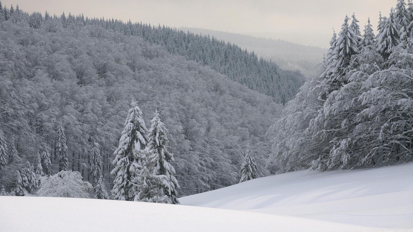 Wandern im Winter: Panoramablick über den Thüringer Wald: Masserberg, Thüringer Wald Los geht es am Parkplatz Rennsteighaus Masserberg. Wanderer folgen dem Weg entlang der Beschilderung "Winterwanderweg". Von hier aus geht es über den Masserberger Höhenweg vorbei an der Schutzhütte Eselsgrund weiter zur „Werraquell Hütte". Hier kann man etwas erholen und verweilen, um sich dann über den Rennsteig zur Rennsteigwarte aufzumachen. Hier hat man einen wunderschönen Panoramablick über den Thüringer Wald. Auf dieser Strecke gibt es auch die Möglichkeiten für eine Kutschfahrt. Panoramablick über den Thüringer Wald: Masserberg, Thüringer Wald  Los geht es am Parkplatz Rennsteighaus Masserberg. Wanderer folgen dem Weg entlang der Beschilderung "Winterwanderweg". Von hier aus geht es über den Masserberger Höhenweg vorbei an der Schutzhütte Eselsgrund weiter zur „Werraquell Hütte". Hier kann man etwas erholen und verweilen, um sich dann über den Rennsteig zur Rennsteigwarte aufzumachen. Hier hat man einen wunderschönen Panoramablick über den Thüringer Wald. Auf dieser Strecke gibt es auch die Möglichkeiten für eine Kutschfahrt.