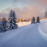 Wunderschönes Schwarzwald-Panorama, Feldberg, Schwarzwald  Ein wunderschönes Panorama erwartet Winterwanderer auf dem Feldberg im Schwarzwald. Los geht es im Ort Feldberg direkt hinter dem Haus der Natur. Von hier aus geht es weiter am Rodelhang entlang. Der Schwierigkeitsgrad der Wanderung ist als mittel angegeben. Das merkt man auch direkt, denn beim Aufsteig zum Panoramaweg wird der ein oder andere trotz Wintertemperaturen direkt ins Schwitzen geraten. Nach rund einer Stunde findet man auf rund 1319 Metern Höhe die Todtnauer Hütte. Vorbei an der Kapelle St. Laurentius geht es zur St. Wilhelmer Hütte. Das Ziel der Wanderung wird mit einer warmen Mahlzeit belohnt. Von hier aus geht es auf dem gleichen Weg wieder ins Tal.  Schwierigkeit: mittel  Länge: 8,8 km   Höchster Punkt: 1382 Meter