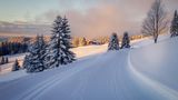 Wunderschönes Schwarzwald-Panorama, Feldberg, Schwarzwald  Ein wunderschönes Panorama erwartet Winterwanderer auf dem Feldberg im Schwarzwald. Los geht es im Ort Feldberg direkt hinter dem Haus der Natur. Von hier aus geht es weiter am Rodelhang entlang. Der Schwierigkeitsgrad der Wanderung ist als mittel angegeben. Das merkt man auch direkt, denn beim Aufsteig zum Panoramaweg wird der ein oder andere trotz Wintertemperaturen direkt ins Schwitzen geraten. Nach rund einer Stunde findet man auf rund 1319 Metern Höhe die Todtnauer Hütte. Vorbei an der Kapelle St. Laurentius geht es zur St. Wilhelmer Hütte. Das Ziel der Wanderung wird mit einer warmen Mahlzeit belohnt. Von hier aus geht es auf dem gleichen Weg wieder ins Tal.  Schwierigkeit: mittel  Länge: 8,8 km   Höchster Punkt: 1382 Meter