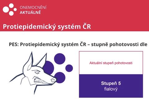 Ein gezeichneter Dobermann mit gefletschten Zähnen zeigt Warnstufe 5 an