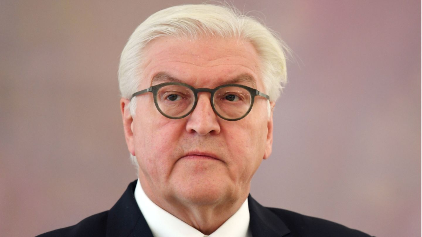 Bundesprasident Steinmeier Fordert Mehr Solidaritat Fur Studierende Stern De