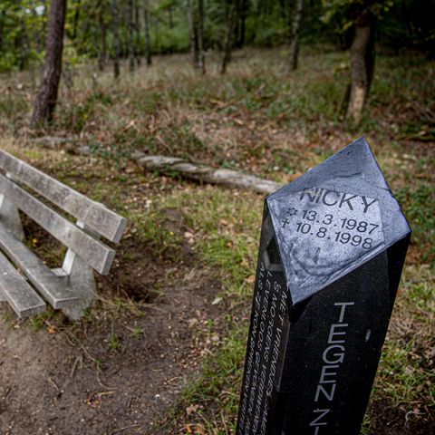 Das Denkmal für den getöteten Nicky auf der Brunssummerheide (Niederlande)