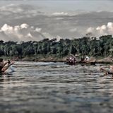 "Ich habe mir von den Indios die Technik des Fischens mit Wurfnetzen zeigen lassen und Lebewesen aus dem Fluss geholt, für die jeder Aquarianer drei- bis viertausend Euro ausgeben würde: Skalare, Diskusfische, Harnischwelse, Saugwelse, überhaupt Welse in jeder Form und Größe", erinnert sich Joey Kelly.