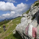 Hochplatte bis zur Kampenwand, Chiemgauer Alpen  Nur bei gutem Wetter und mit der richtigen Ausrüstung - Trittsicherheit und Schwindelfreiheit sind erforderlich. Lange Strecke!  Schwierigkeitsgrad: schwierig  Strecke: 17,3 Kilometer  Dauer: 9 Stunden  Aufstieg: 1600 hm  Abstieg 1600 hm   Beschreibung:  Los geht es am Parkplatz Mühlau. Vor hier aus geht es auf einen gut sichtbaren Steig nach links in den Wald. Dann weiter auf den Bergpfad. Nach rund einer Stunde erreicht man die Oberauerbrunstalm. Der Stieg geht den Südhang hoch. Über einen Übertritt gelangt man wieder in den Wald. Auf rund 1250 Meter folgt ein Wegweiser. Hier den unmarkierten Steigspuren folgen. Diese führen zum Gipfel. Von hier aus dann weiter zur Priesenhauser Hochalm. Jetzt immer ostwärts zum Sattel des Hochalpenkopfs. Nun geht es weiter zur Kampenwand, um dann über Seilversicherungen und einen steinigen Weg zur Steinlingalm zu gelangen. Jetzt zweigt ein Steig nach Westen ab und verläuft unterhalb der Südwände der Kampenwand. Von hier aus betritt man bekannte Wege und findet wieder zum Parkplatz. Hier gibt es mehr Informationen zur Strecke.