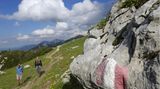Hochplatte bis zur Kampenwand, Chiemgauer Alpen  Nur bei gutem Wetter und mit der richtigen Ausrüstung - Trittsicherheit und Schwindelfreiheit sind erforderlich. Lange Strecke!  Schwierigkeitsgrad: schwierig  Strecke: 17,3 Kilometer  Dauer: 9 Stunden  Aufstieg: 1600 hm  Abstieg 1600 hm   Beschreibung:  Los geht es am Parkplatz Mühlau. Vor hier aus geht es auf einen gut sichtbaren Steig nach links in den Wald. Dann weiter auf den Bergpfad. Nach rund einer Stunde erreicht man die Oberauerbrunstalm. Der Stieg geht den Südhang hoch. Über einen Übertritt gelangt man wieder in den Wald. Auf rund 1250 Meter folgt ein Wegweiser. Hier den unmarkierten Steigspuren folgen. Diese führen zum Gipfel. Von hier aus dann weiter zur Priesenhauser Hochalm. Jetzt immer ostwärts zum Sattel des Hochalpenkopfs. Nun geht es weiter zur Kampenwand, um dann über Seilversicherungen und einen steinigen Weg zur Steinlingalm zu gelangen. Jetzt zweigt ein Steig nach Westen ab und verläuft unterhalb der Südwände der Kampenwand. Von hier aus betritt man bekannte Wege und findet wieder zum Parkplatz. Hier gibt es mehr Informationen zur Strecke.