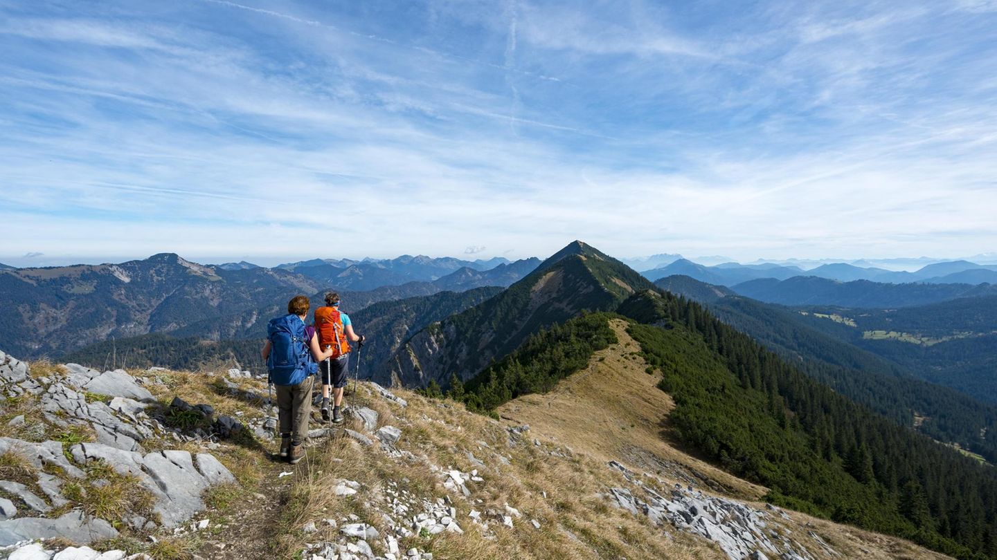 Überschreitung von Halserspitze und Blauberg-Kamm, Tegernsee   Gute Kondition und absolute Trittsicherheit sind hier erforderlich.   Schwierigkeitsgrad: schwer  Strecke: 17,6 Kilometer  Dauer: 8 Stunden  Auftsieg: 1300 hm  Abstieg: 1300 hm  Beschreibung:  Vom Wanderparkplatz geht es über eine Brücke nach links. Dann läuft man weiter in Richtung Hofbauernweißbach. In der Kurve der Schotterstraße sieht man auf der anderen Flussseite die Almwirtschaft Siebenhütten. Geradeaus über eine weitere Brücke. Ab hier folgt man der Beschilderung zum Halserspitz. Von hier aus startet ein Bergweg, der dem Tal des Hohlensteinbachs folgt. Folgt man dem Weg, gelangt man durch den dichten Wald zum Bergrücken des Weißenbachkopfs. Auf dem schmalen Latschenkamm geht es dann direkt auf den Halserspitz zu. Folgt man an der Weggabelung dem rechten Weg, kommt man auf einen Steig, der einiges an Trittsicherheit fordert. Wagt man den Aufstieg, kommt man zum Gipfel. Vom Halserspitz geht es zum Blaubergkamm. Etwas steiler geht es hinab zur Blaubergalm. Am Sattel hält man sich an der Weggabelung rechts. Von hier aus steigt man über die Wolfsschlucht - teilweise mit Drahtseilen - ins Bachbett ab. Von hier aus geht es auf einem Fahrweg zurück zum Parkplatz. Weitere Informationen zur Strecke finden Sie hier.