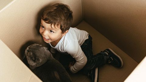Ein kleiner Junge und eine Katze sitzen in einer Kiste