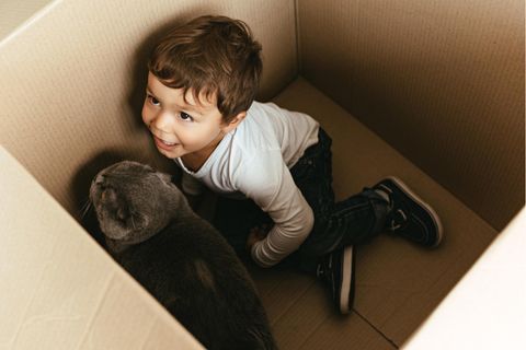 Ein kleiner Junge und eine Katze sitzen in einer Kiste