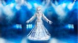 "The Masked Singer"-Finale