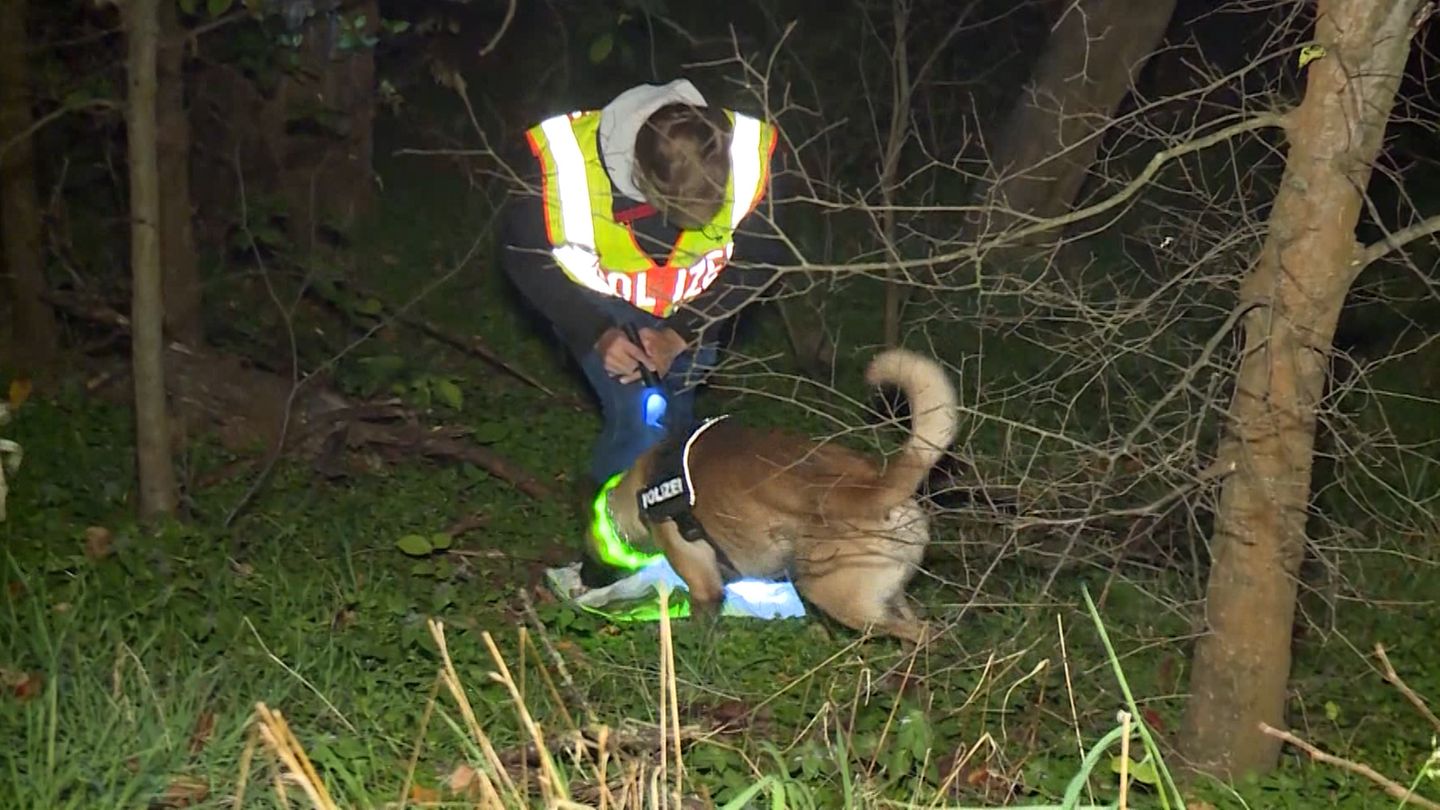 Ein Polizist mit einem Spürhund auf der Suche nach Leichenteilen in einem Berliner Waldstück