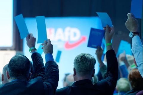 Delegierte der AfD stimmen mit Zetteln in der Hand ab
