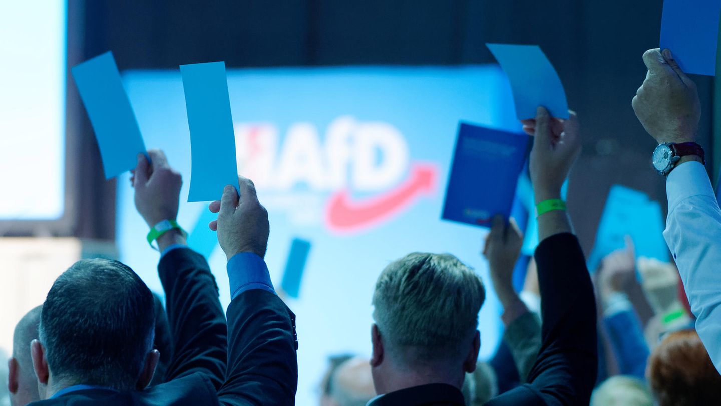 Delegierte der AfD stimmen mit Zetteln in der Hand ab