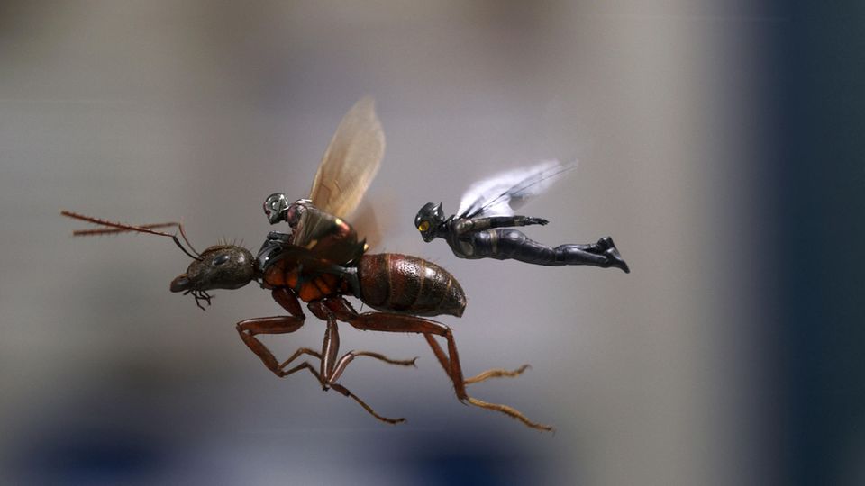 "Ant-Man and the Wasp" "Ant-Man and the Wasp"